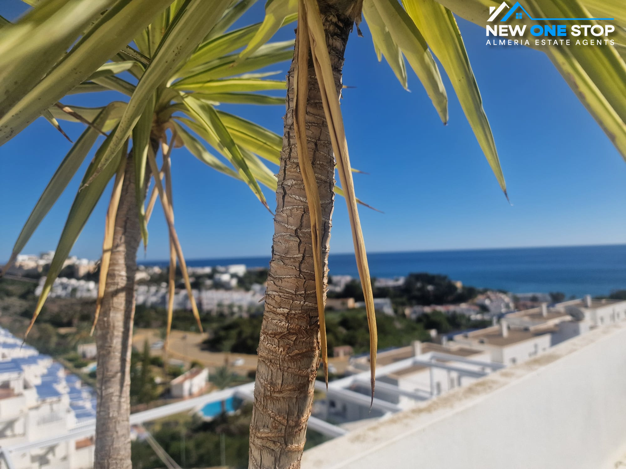 Property 40