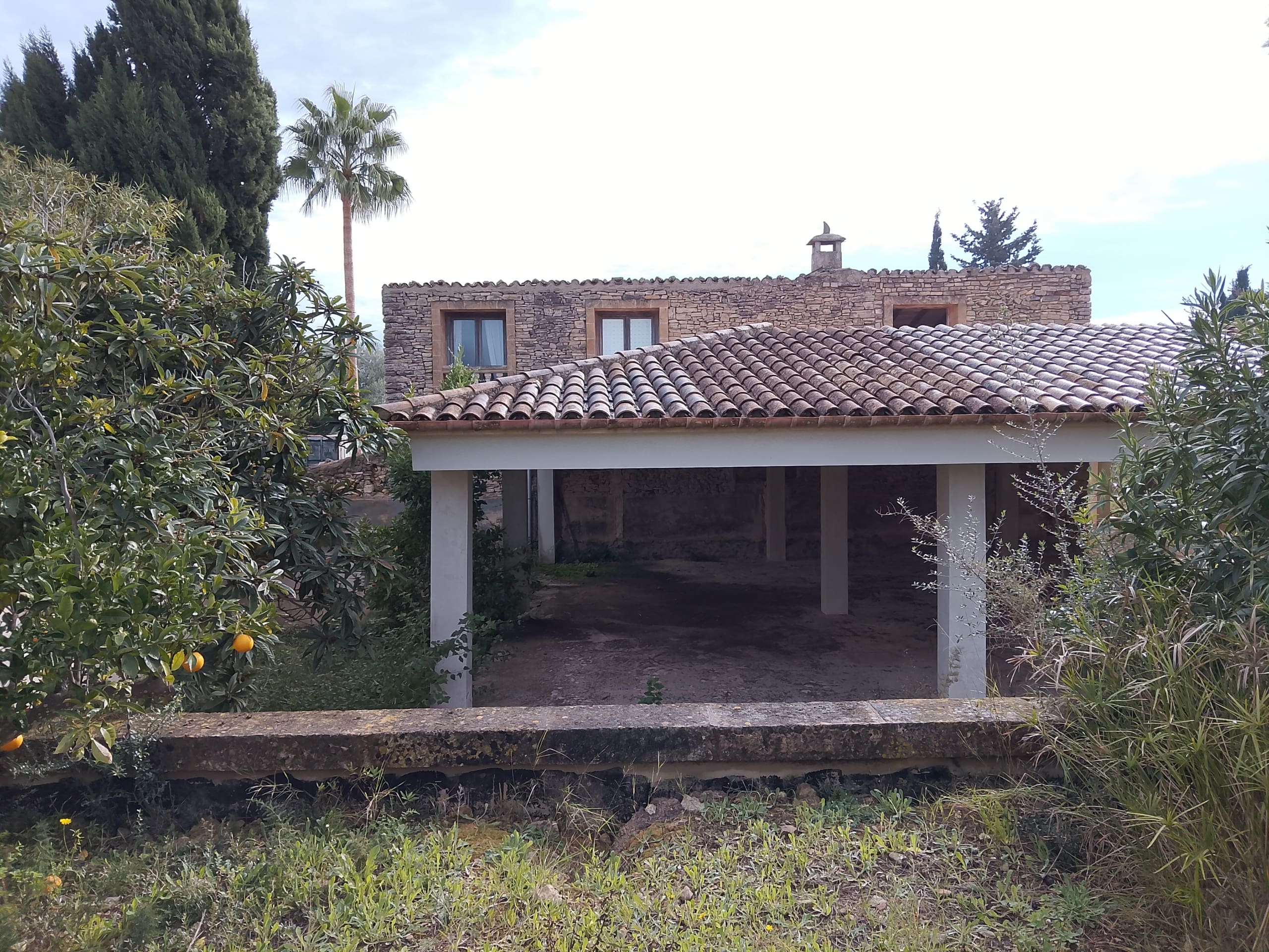 Propiedad 35