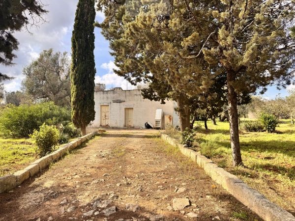 House in Carovigno - Image 4