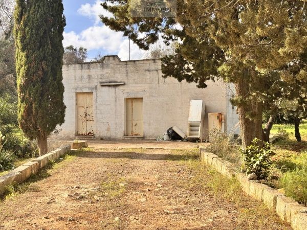 House in Carovigno - view 1