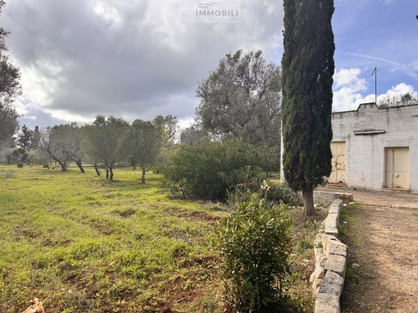 House in Carovigno - Image 3