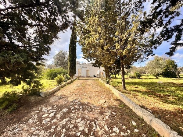 House in Carovigno - Image 2