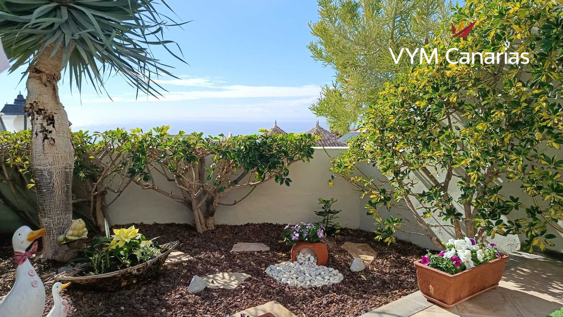 House in Chayofa - Image 3