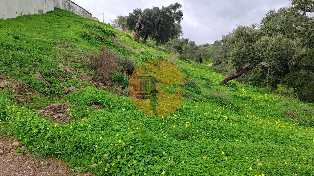 Land in Santa Catarina da Fonte do Bispo - view 1