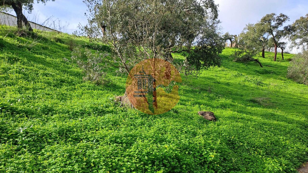 Land in Santa Catarina da Fonte do Bispo - Image 2