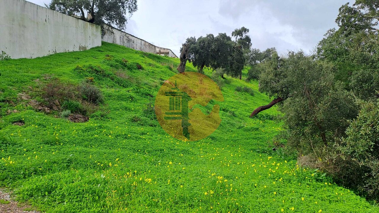 Land in Santa Catarina da Fonte do Bispo - Image 3