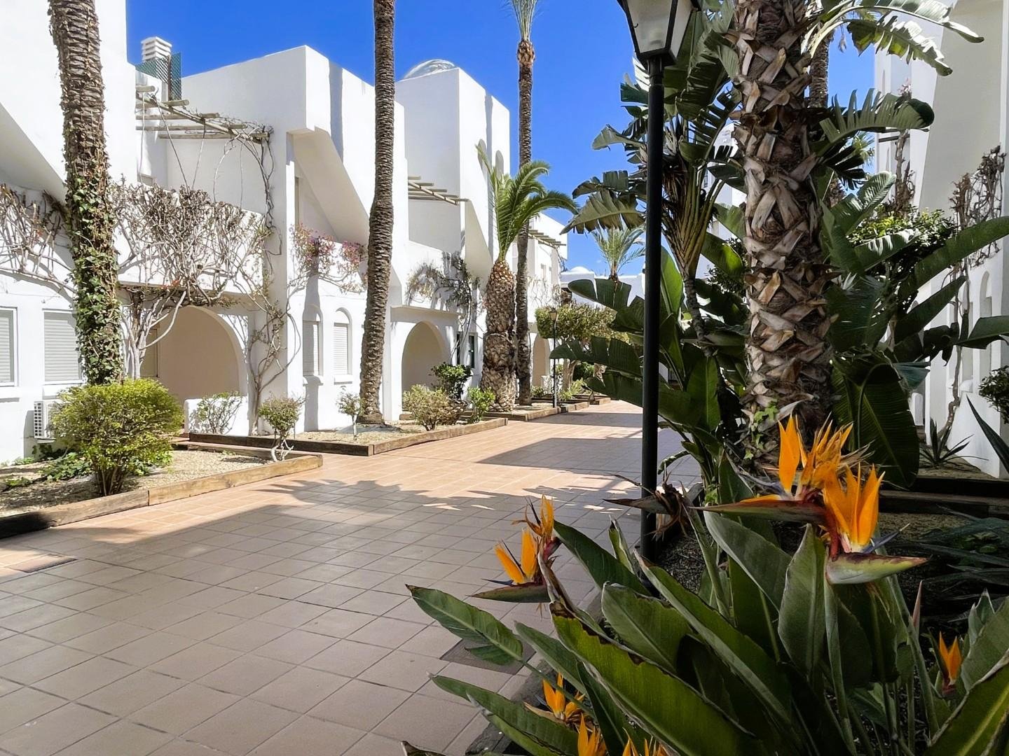 Propiedad 42