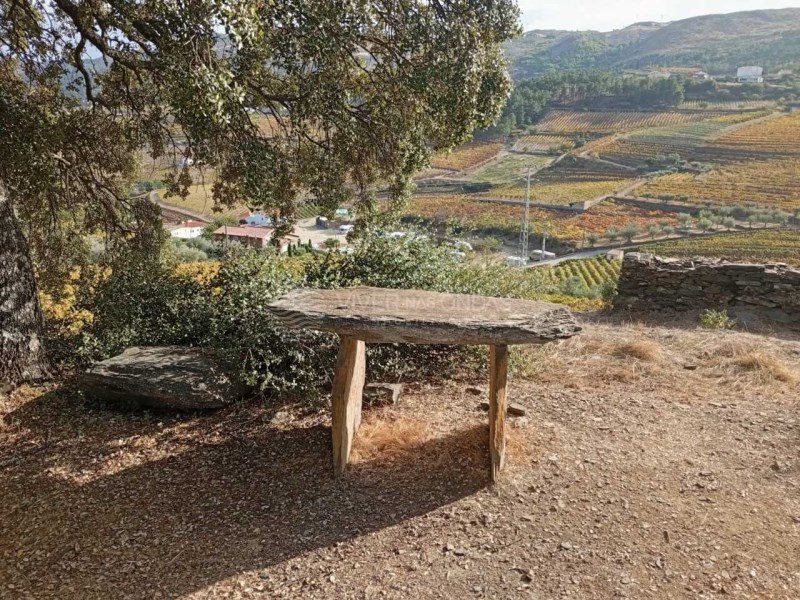 House in Barcos - Image 2