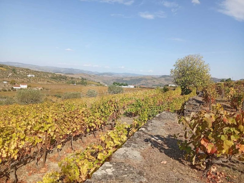 House in Barcos - Image 2