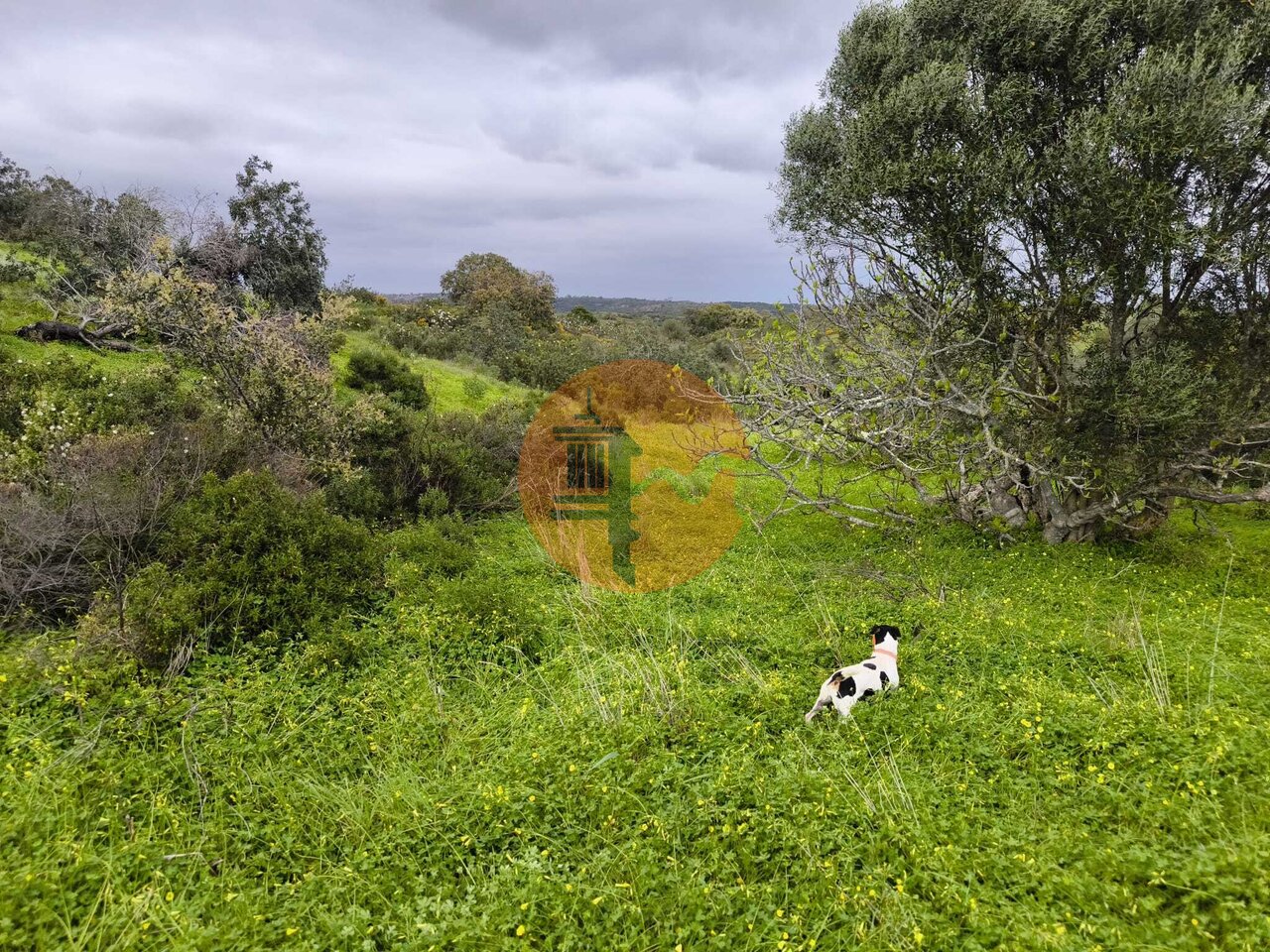 Land in Castro Marim - view 1