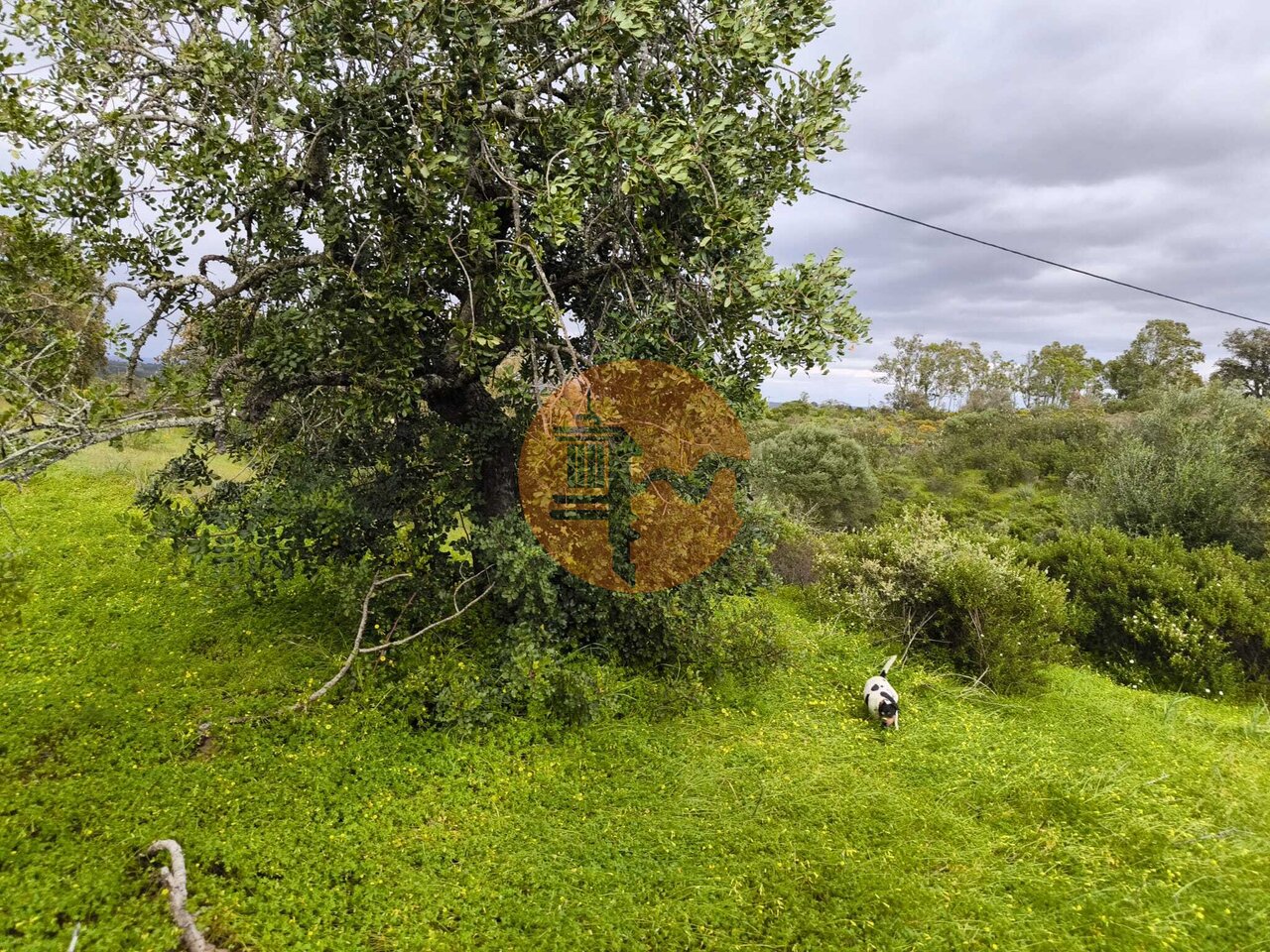 Land in Castro Marim - Image 3