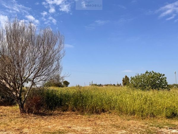 Land in Carovigno - Image 4