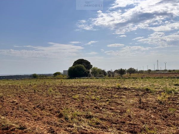 Land in Carovigno - Image 3