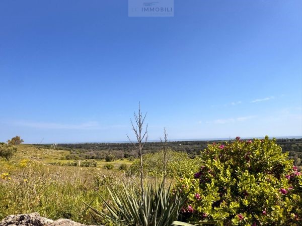 Land in Carovigno - Image 2