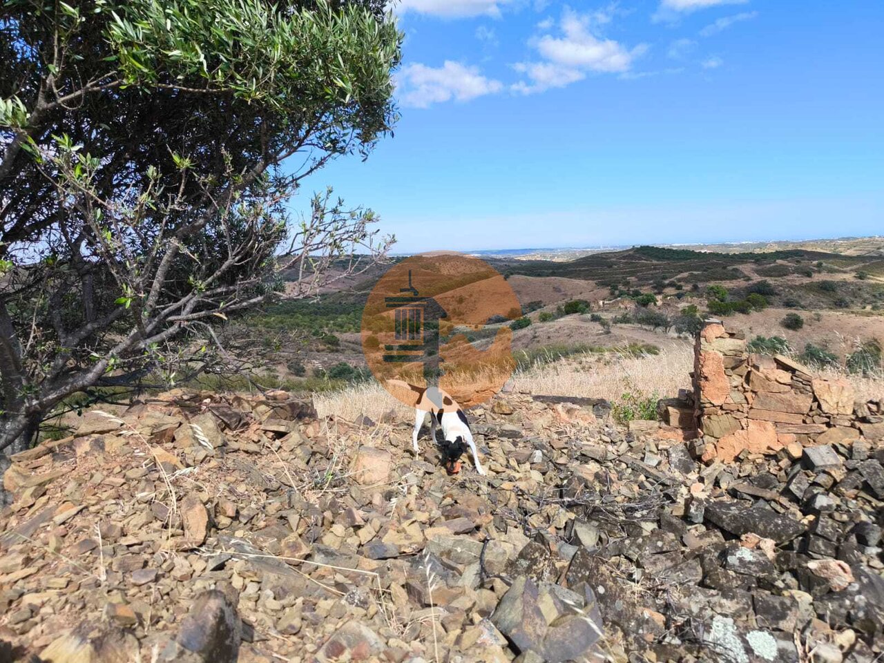 Land in Castro Marim - Image 3