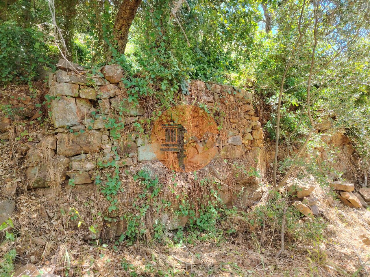 Land in Santa Catarina da Fonte do Bispo - Image 2