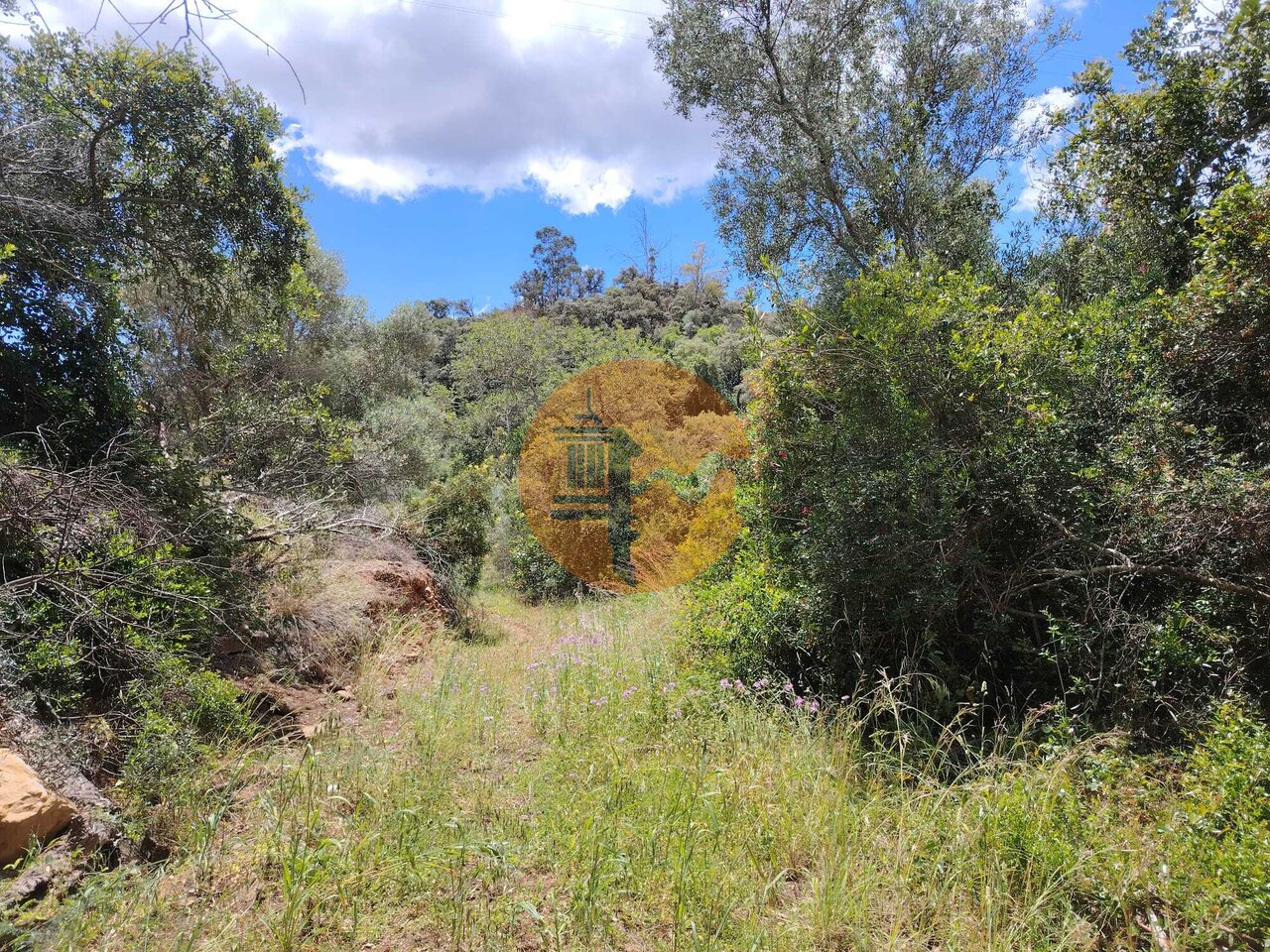 Land in Santa Catarina da Fonte do Bispo - Image 3
