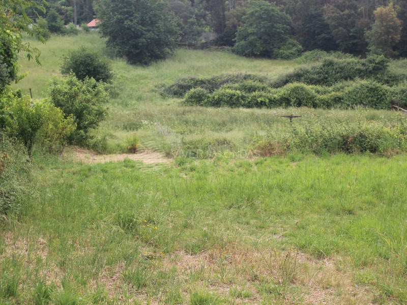 Land in Valongo - Image 3