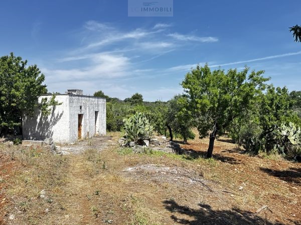 Land in Carovigno - Image 2