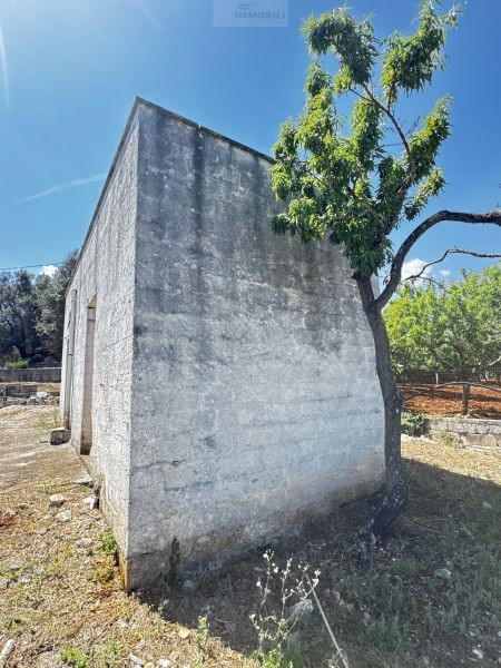 Land in Carovigno - Image 5