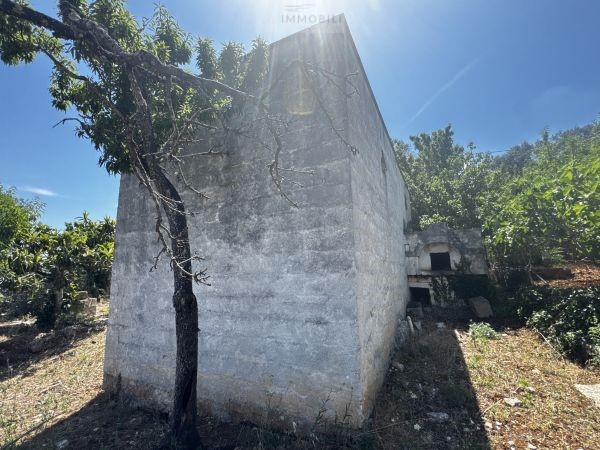 Land in Carovigno - Image 4