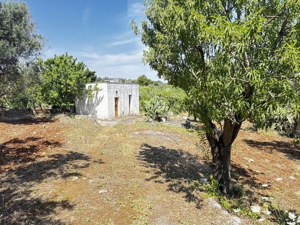 Land in Carovigno - view 1