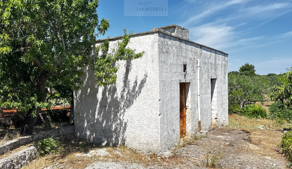 Land in Carovigno - Image 3
