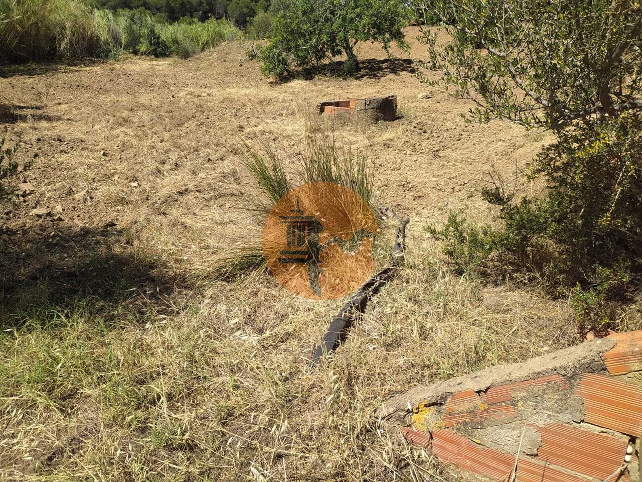 Land in Castro Marim - Image 3
