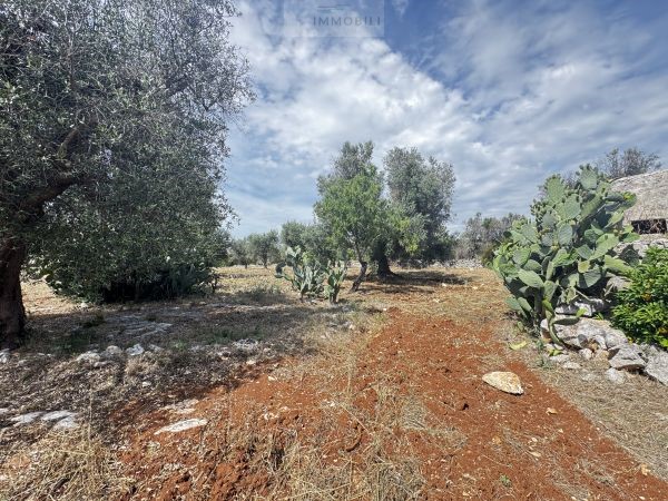 Land in Carovigno - Image 5