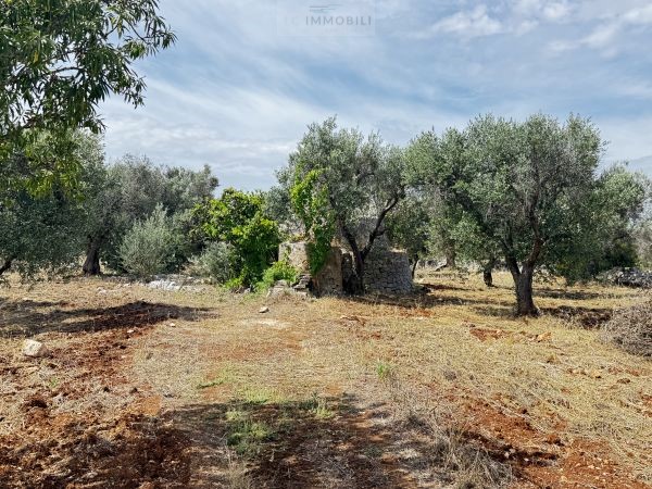 Land in Carovigno - Image 2