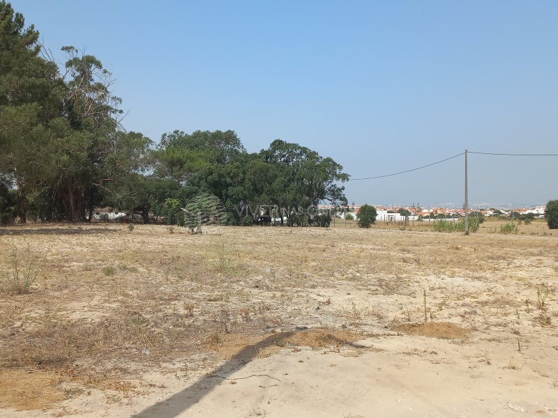 Land in Montijo - Image 2