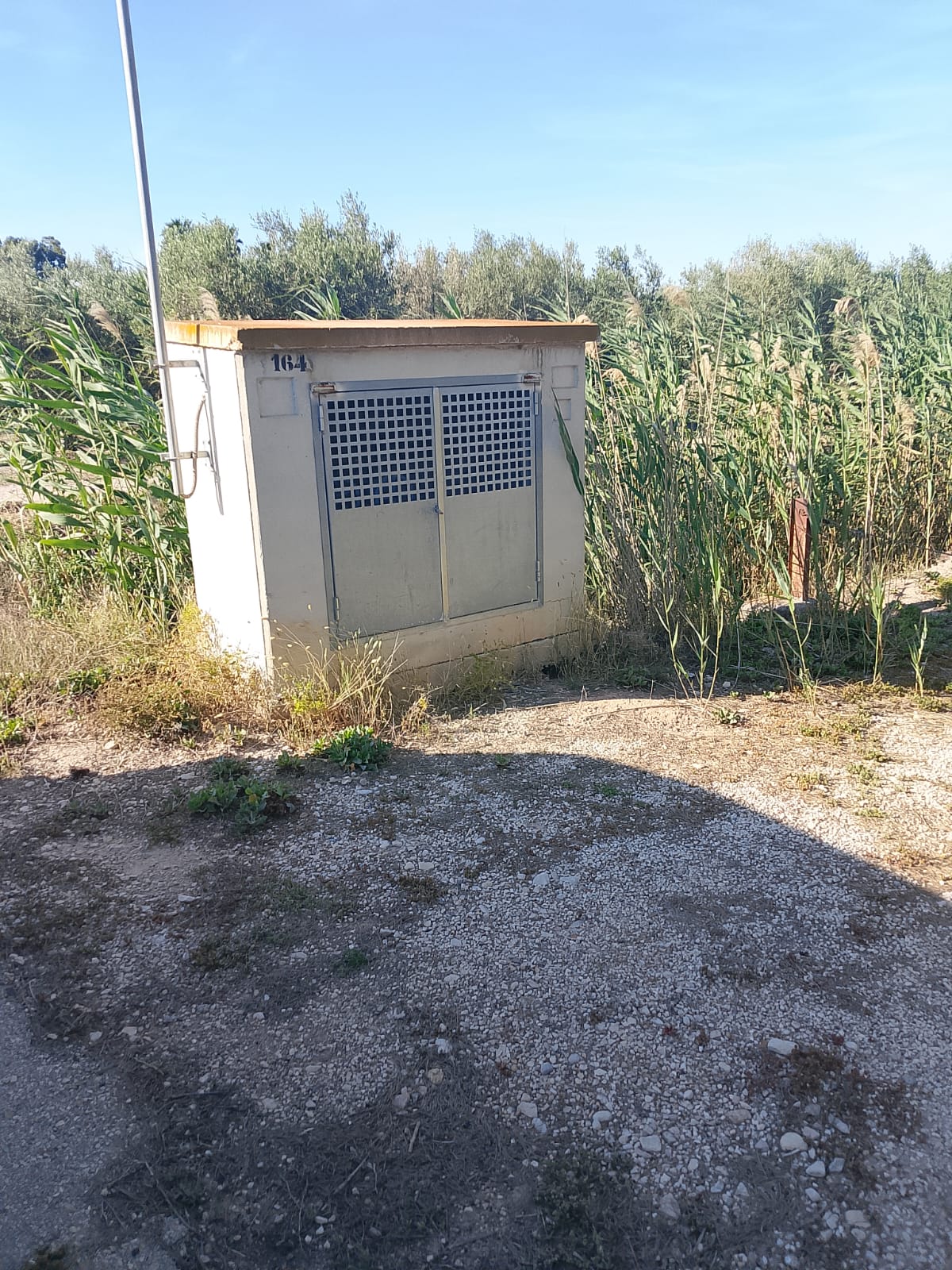 Parcela rústica en venta en Crevillent zona El Realengo