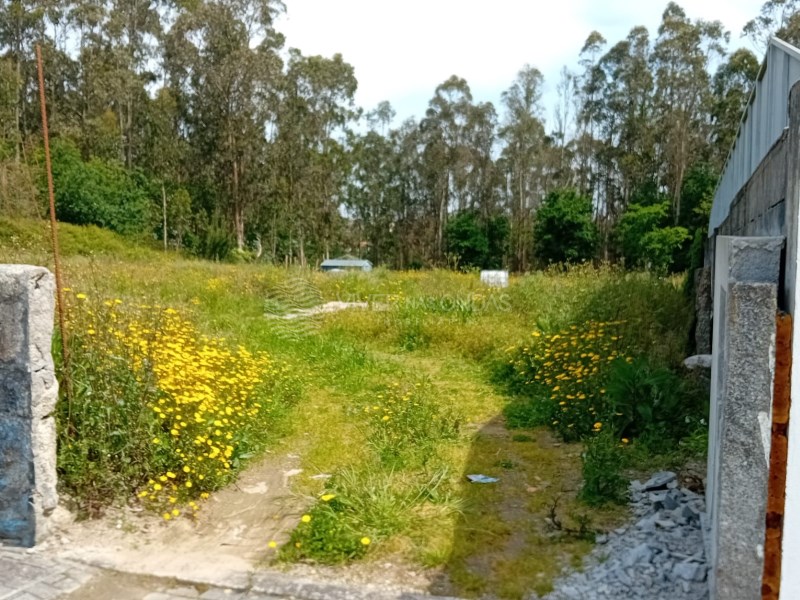 Land in Arvore - view 1
