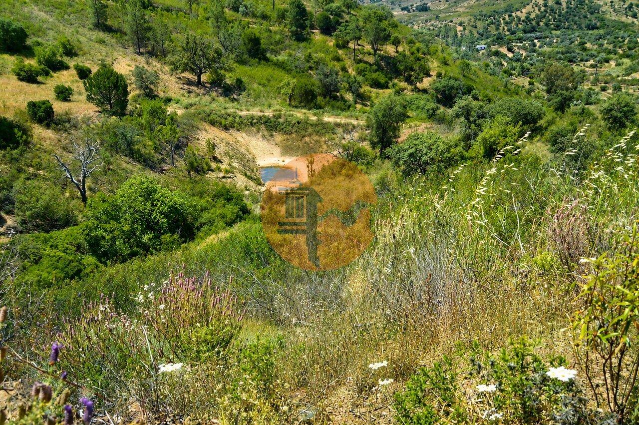Land in Santa Catarina da Fonte do Bispo - Image 2