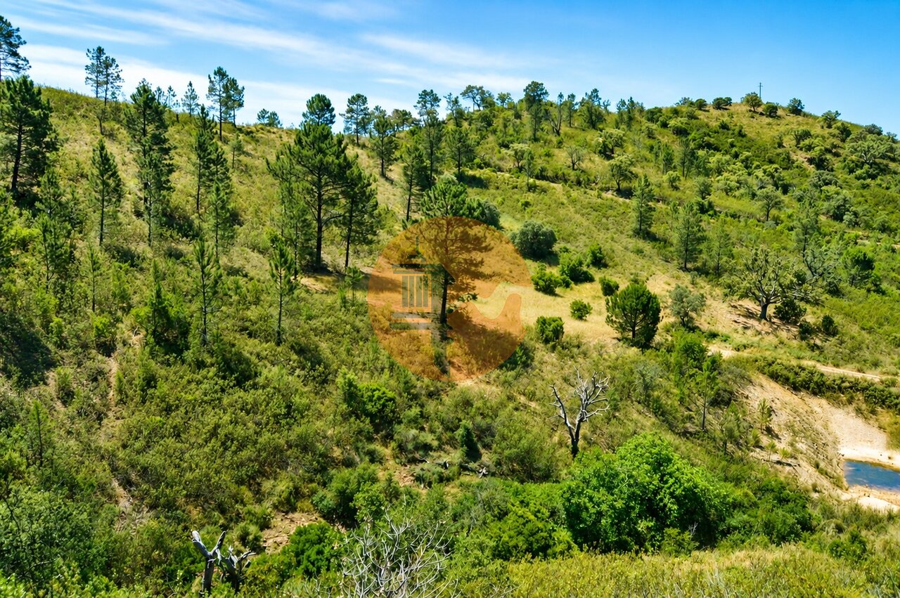 Land in Santa Catarina da Fonte do Bispo - Image 3