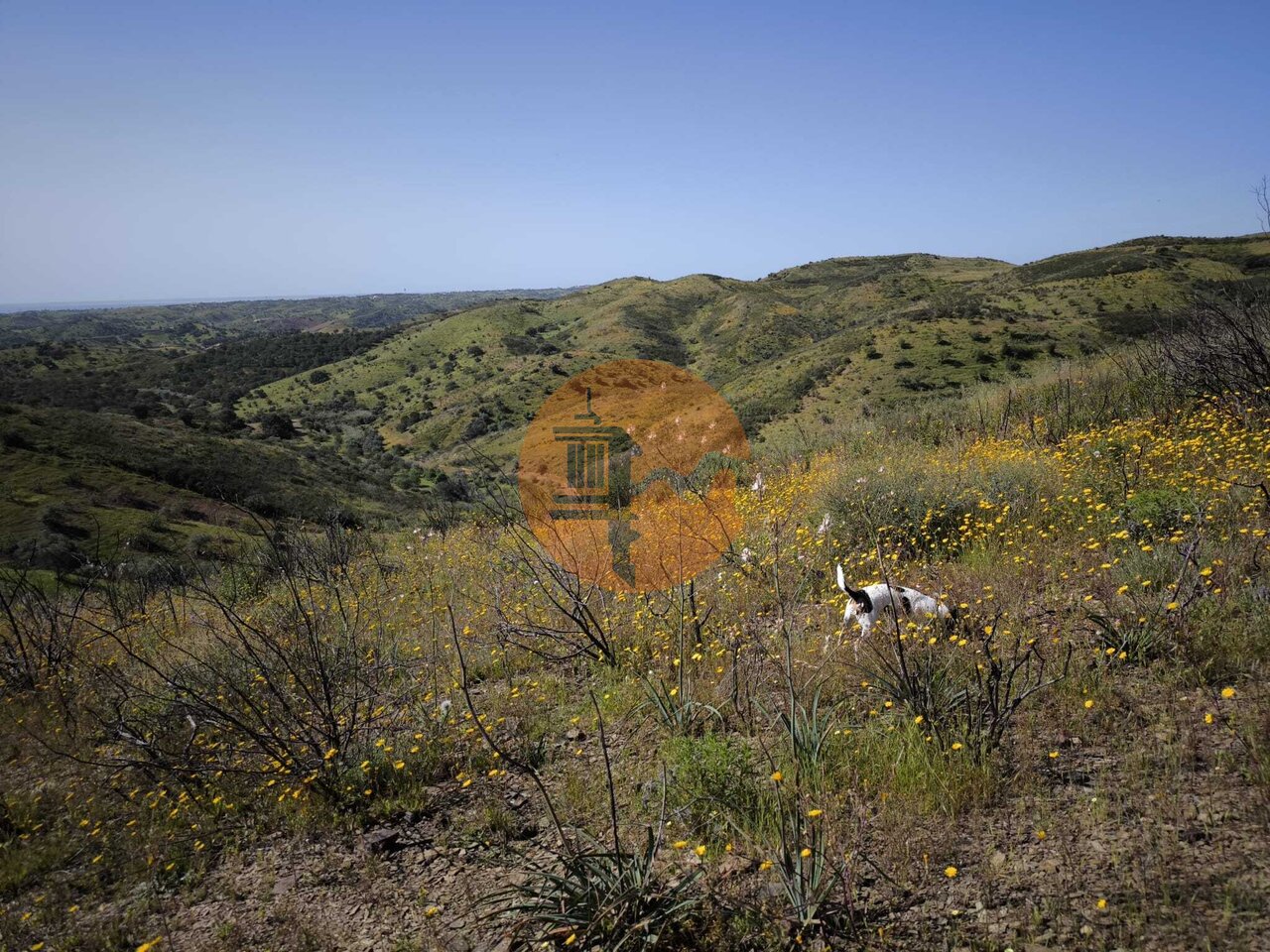 Land in Castro Marim - Image 3