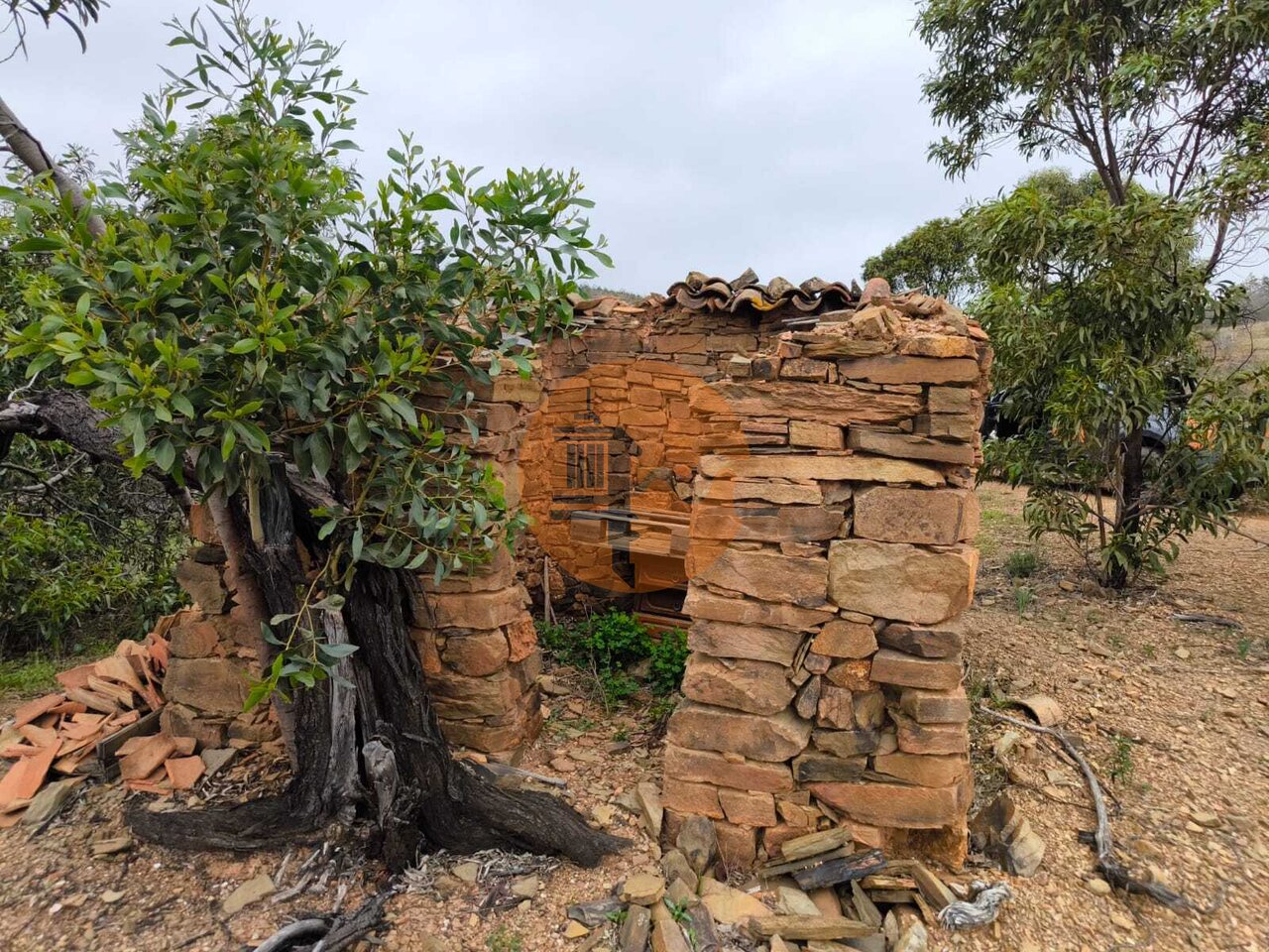 Land in Conceicao - Image 3