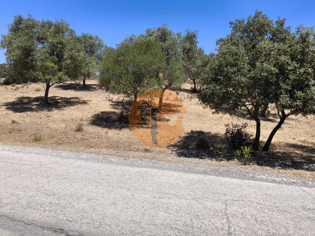 Land in Castro Marim - view 1